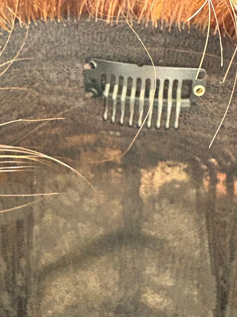 新品！坂巻哲也 ヘアコサージュ フルウィッグ スイートショート