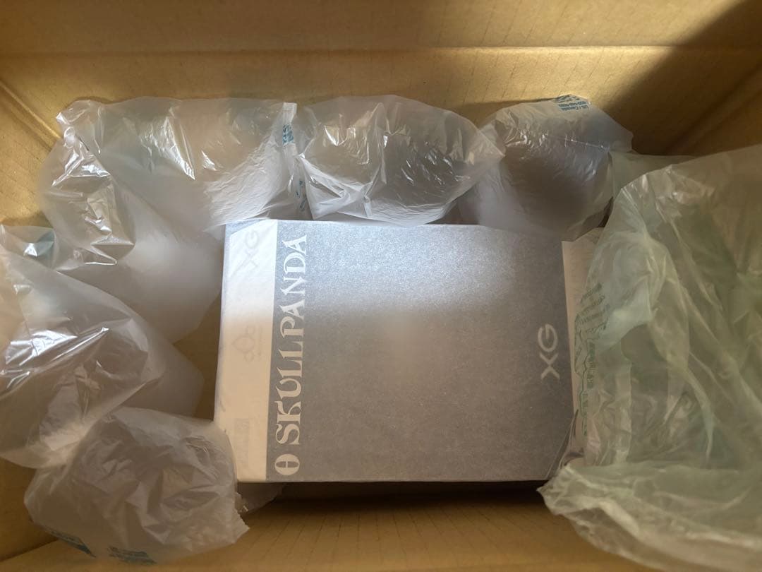 最終値下 SKULLPANDA XG ぬいぐるみペンダント 新品未開封