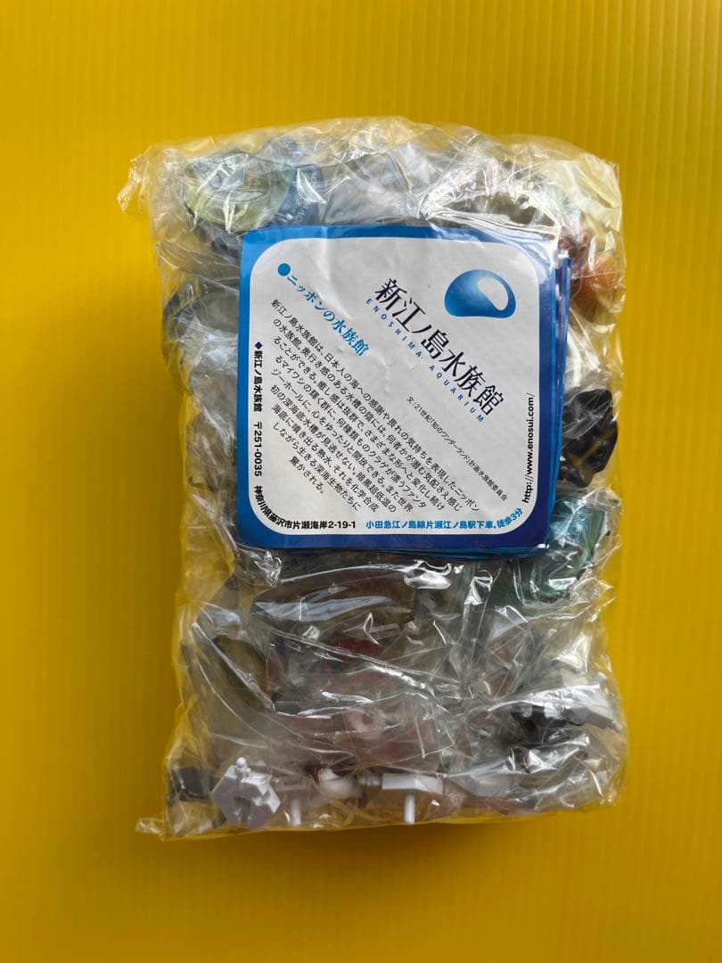 【秋の収穫祭】日本水族館立体生物図録 第2巻〈全15種〉フルコンプリート