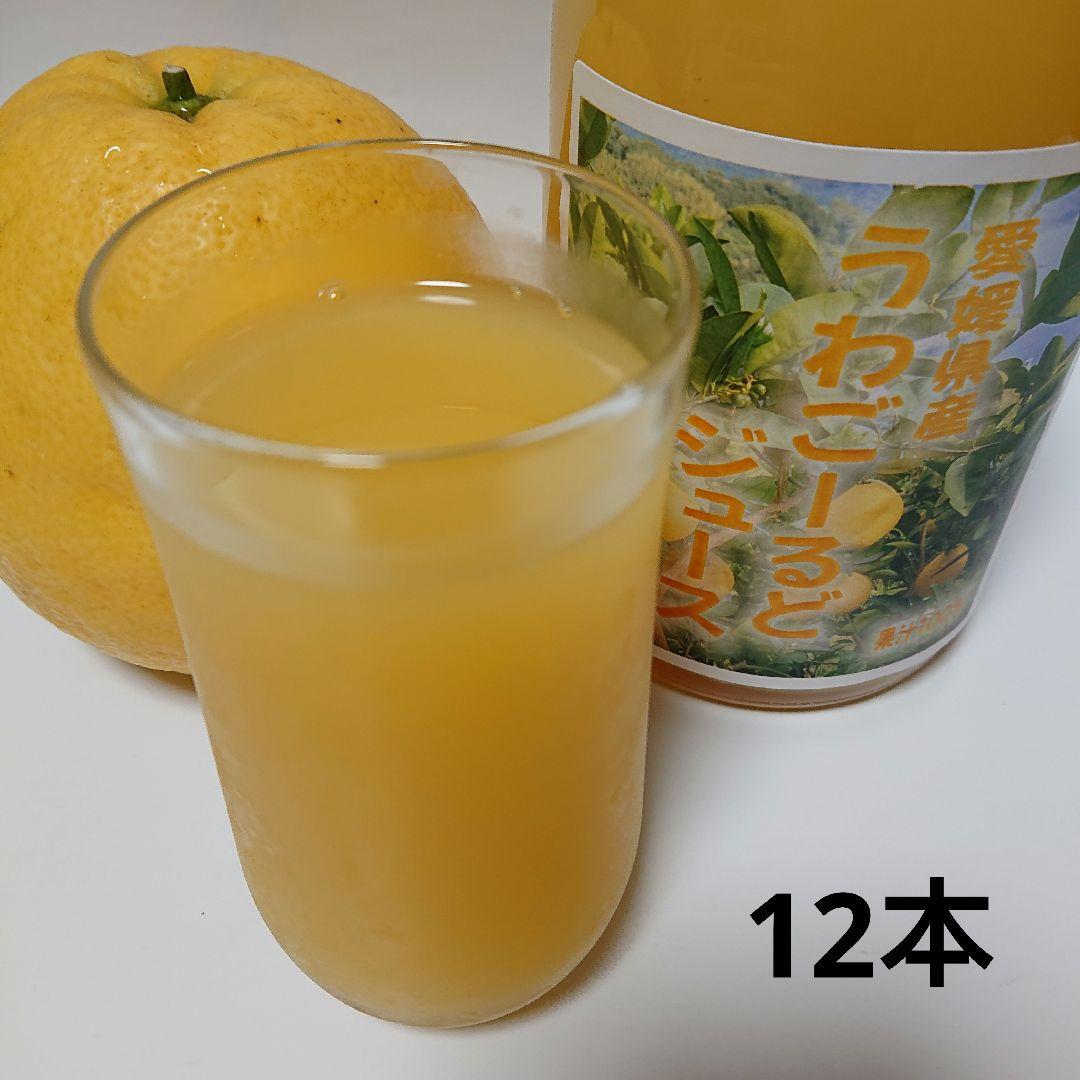 愛媛県産うわごーるど(河内晩柑)ジュース 720ml 12本セット