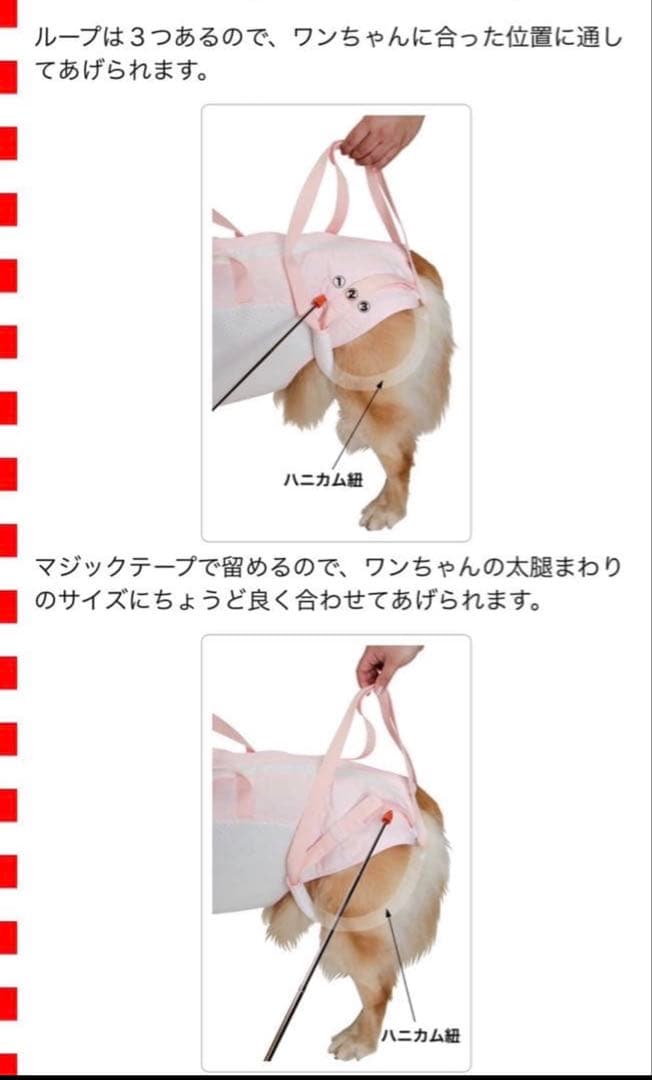 犬用介護ハーネス　アシスタントバンド　 Assistant 大型犬