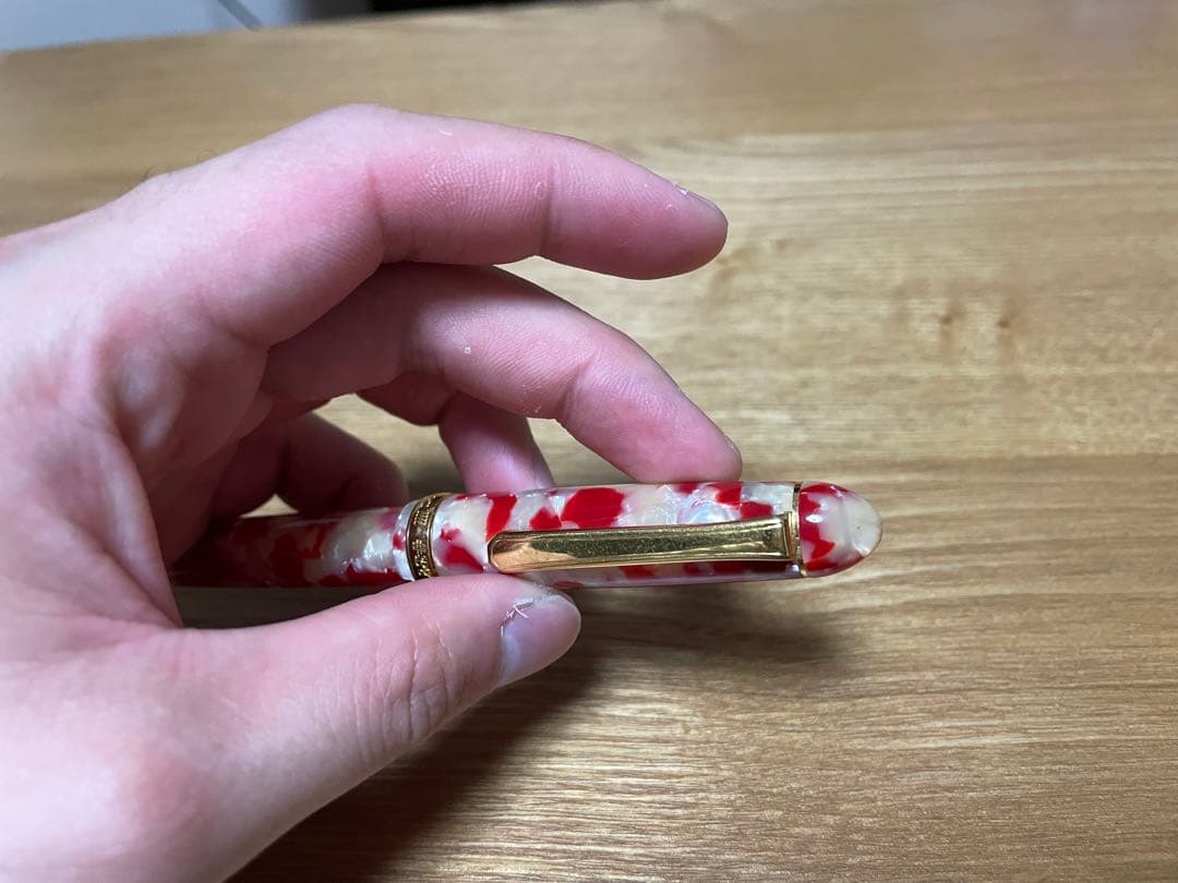 プラチナ万年筆 #3776 センチュリー セルロイド　キンギョ