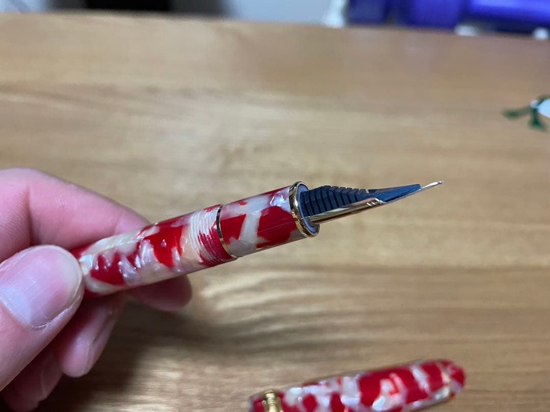 プラチナ万年筆 #3776 センチュリー セルロイド　キンギョ