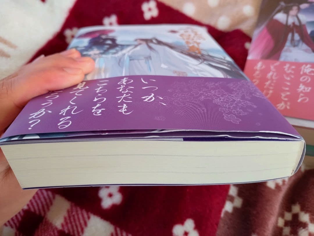 二哈和他的白猫師尊日本語版特装版小冊子付き全巻セット