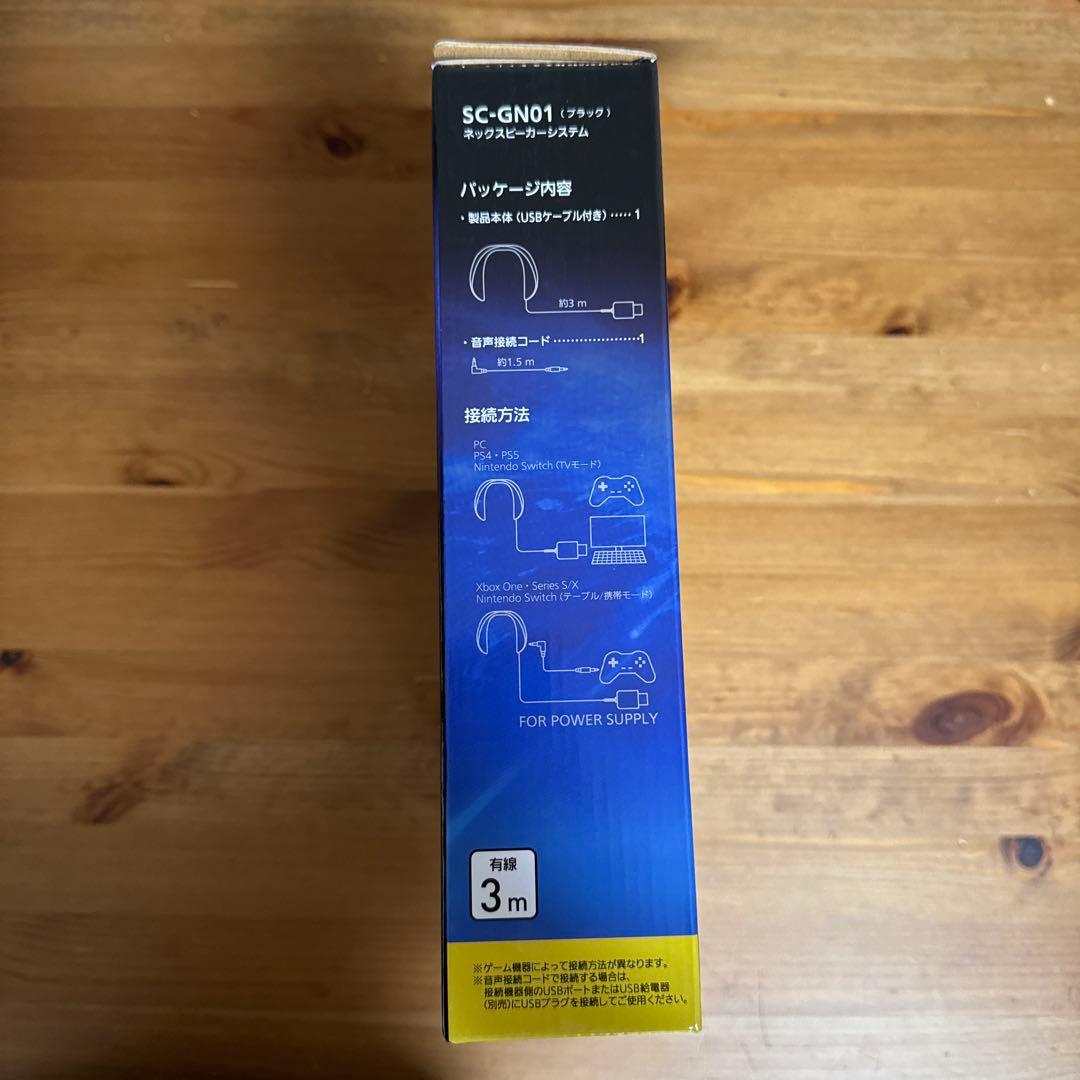 パナソニック SOUND SLAYER SC-GN01 ネックスピーカー 美品