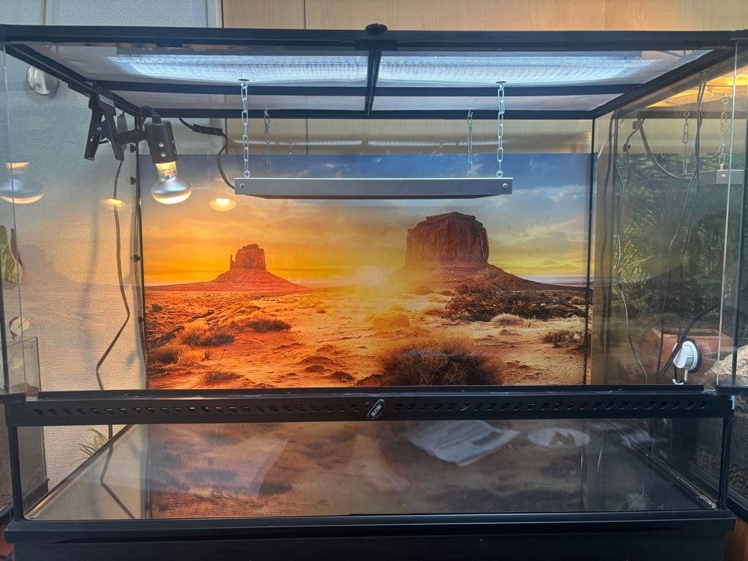 【使用僅か】グラステラリウム9060 爬虫類 飼育セット ライト 暖突 流木