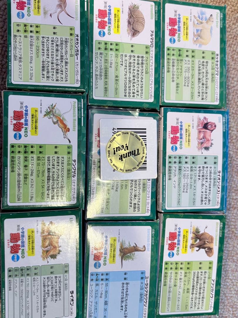 アニア　廃盤アニアセット