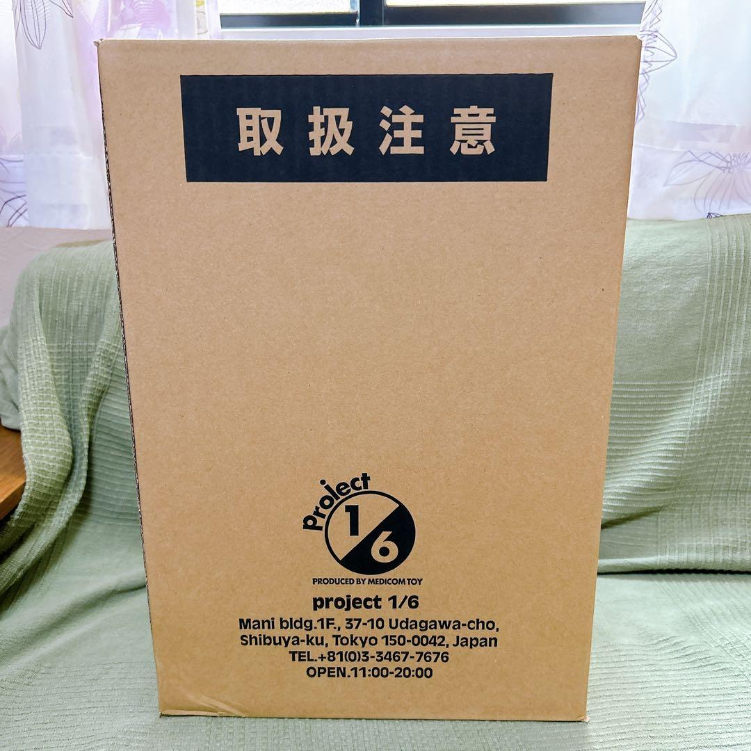 新品未開封品 安楽安作 デストロイア メディコムトイ ソフビ