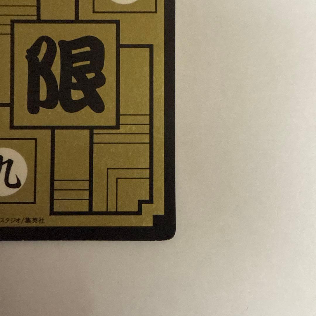 ドラゴンボールカードダス めちゃんこプロジェクト　No.9 孫悟飯