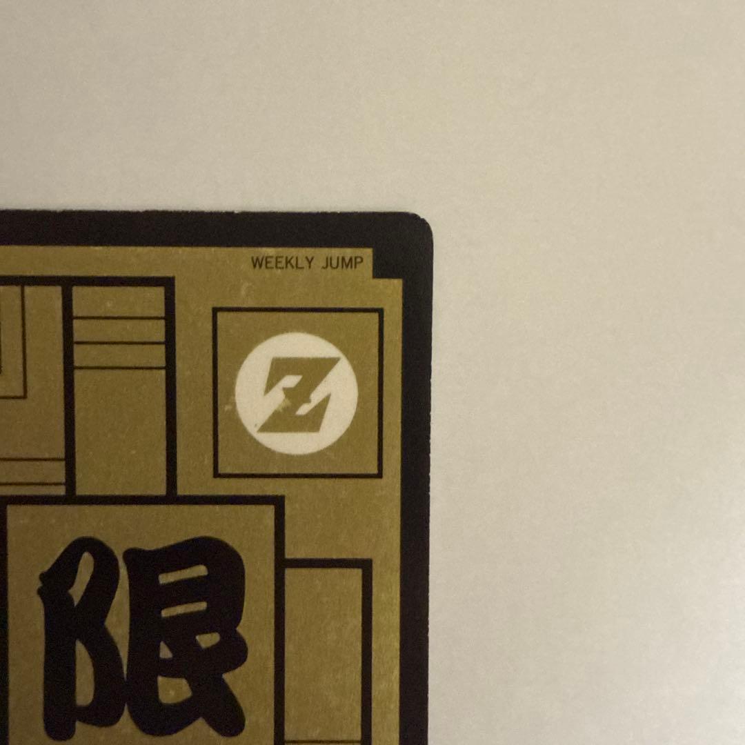 ドラゴンボールカードダス めちゃんこプロジェクト　No.9 孫悟飯