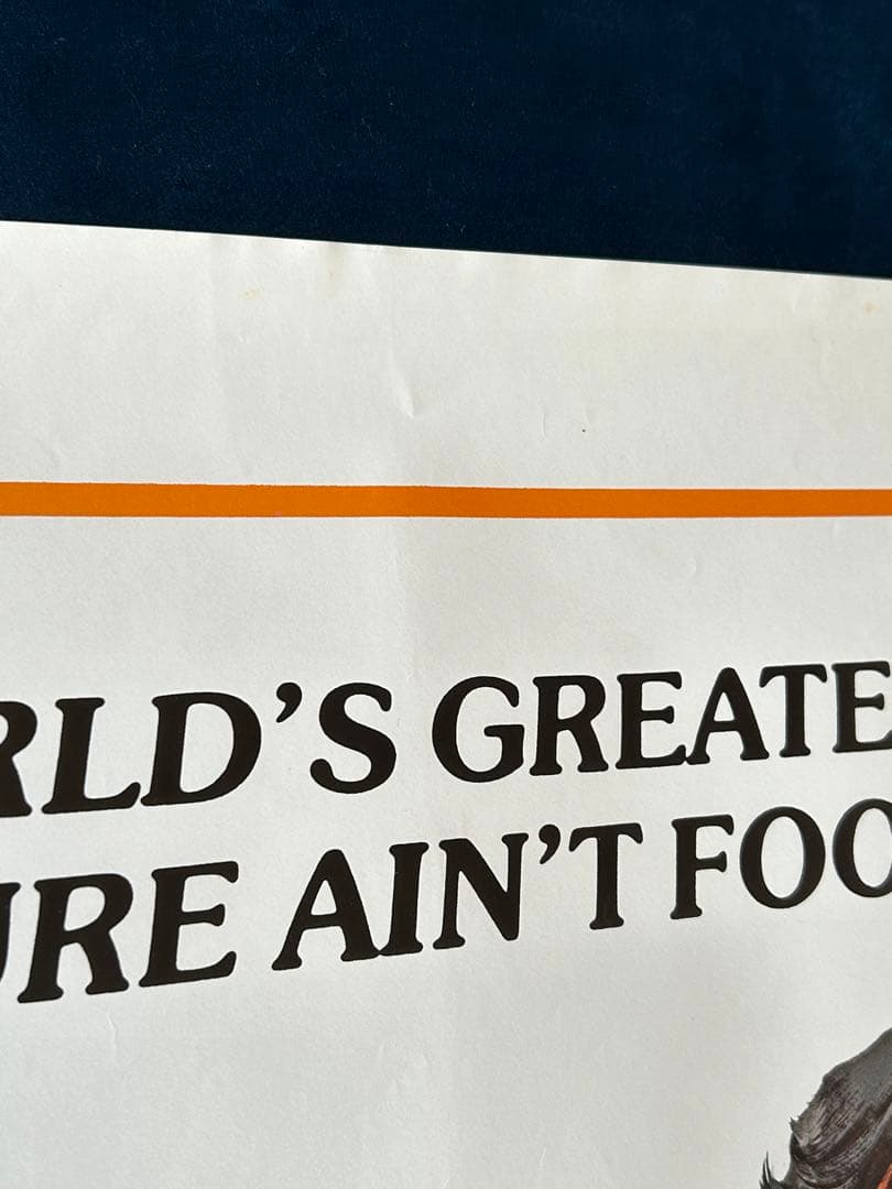 タッチダウン　USオリジナル映画ポスター