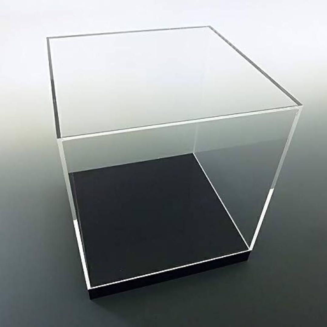 24h内発送✨台座乗せタイプ アクリルケース 黒 標本箱 標本ケース 透明ケース