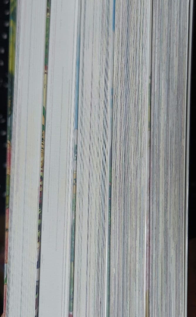 ある日、お姫様になってしまった件について 1〜12巻セット