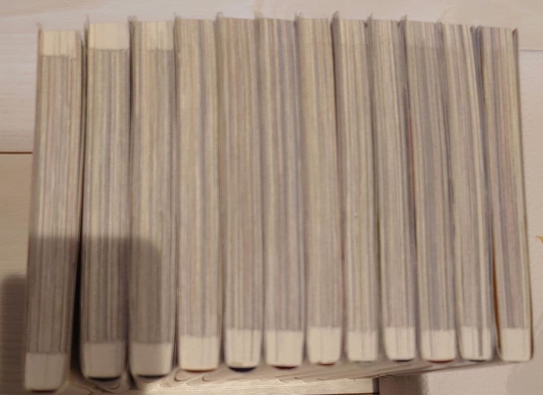 ある日、お姫様になってしまった件について 1〜12巻セット