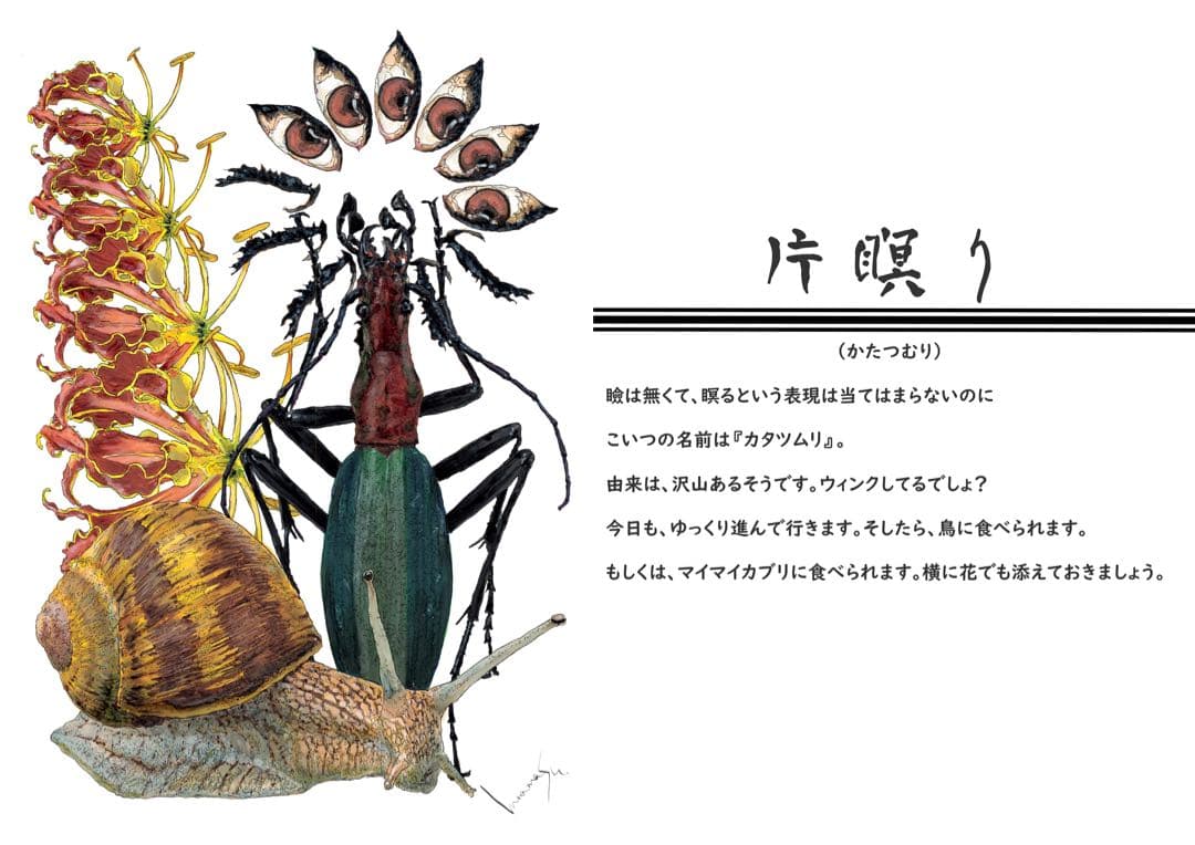『片瞑り』~ Carabus blaptoides~
