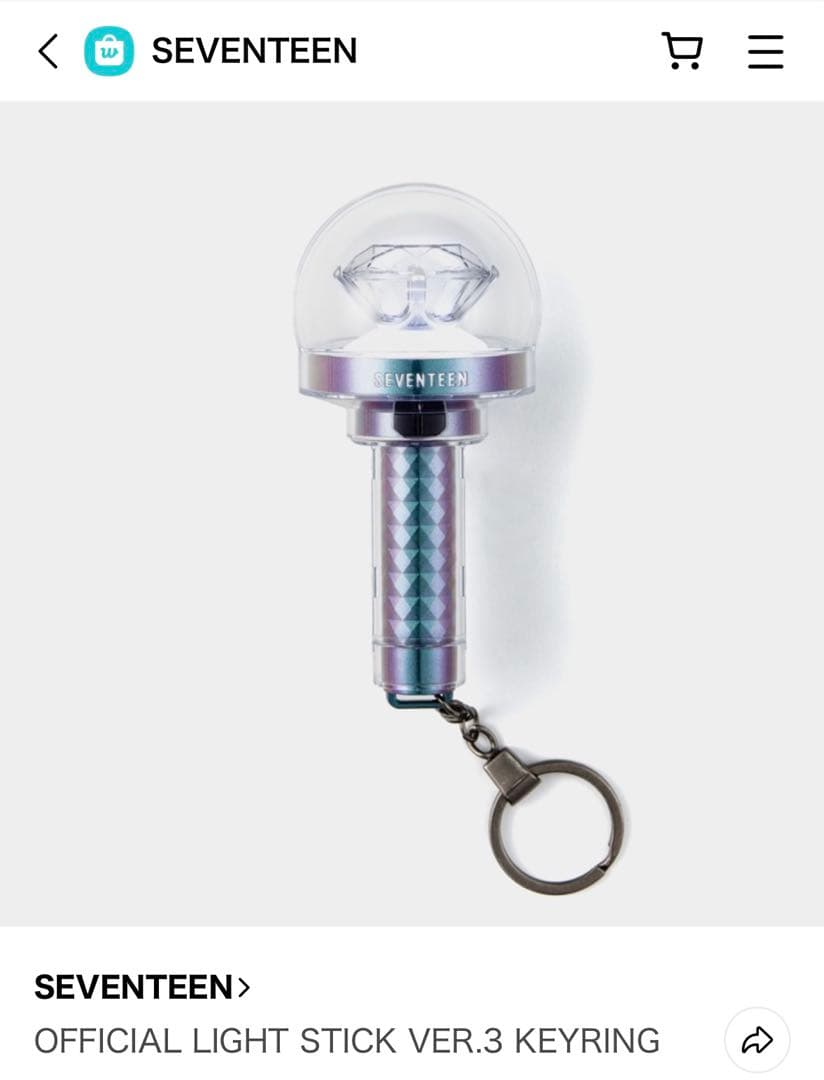 SEVENTEEN ペンライト 10周年 カラット棒　他 3点セット　セブチ