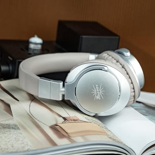 ALinsoul Kiwi Ears Division大型40mmダイナミック振