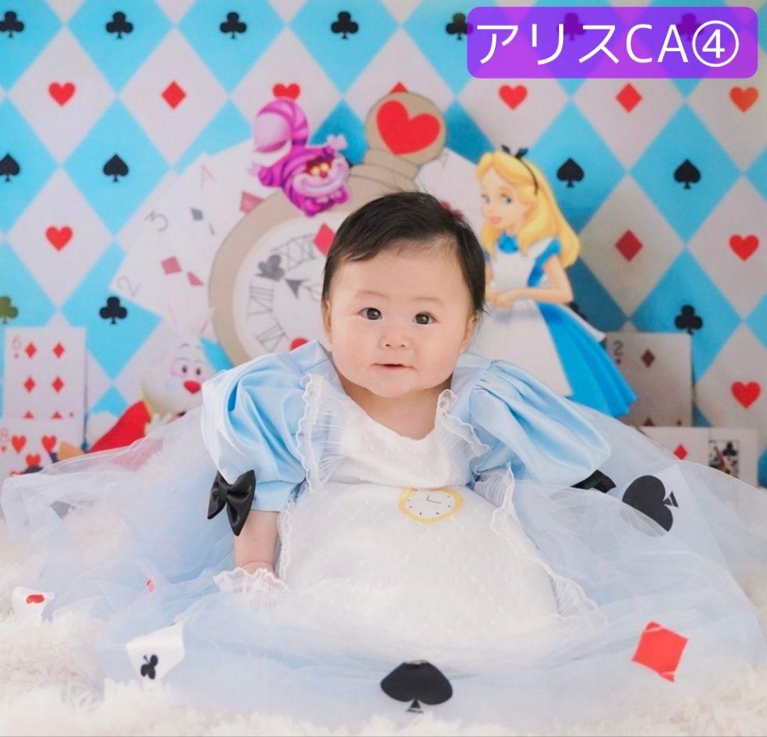 背景布×10枚+2枚プレゼント　ペット撮影用ブース　トリミングチョーカーも販売中