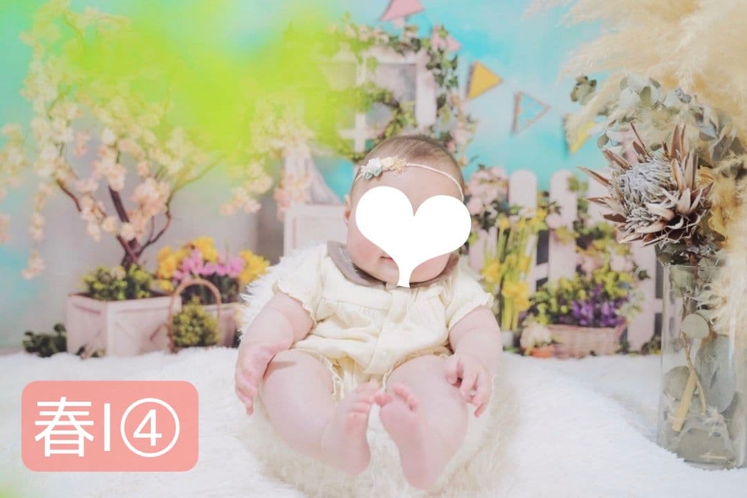 背景布×10枚+2枚プレゼント　ペット撮影用ブース　トリミングチョーカーも販売中