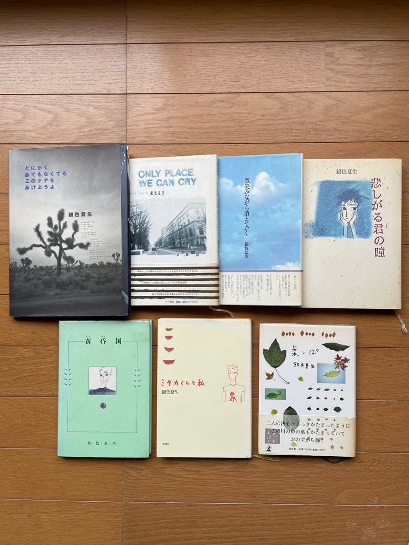 『銀色夏生の世界①』おまとめ34冊