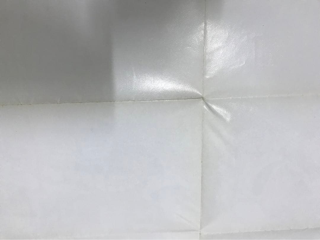 コレクション Opryland Souvenir Map 20th Anniversary