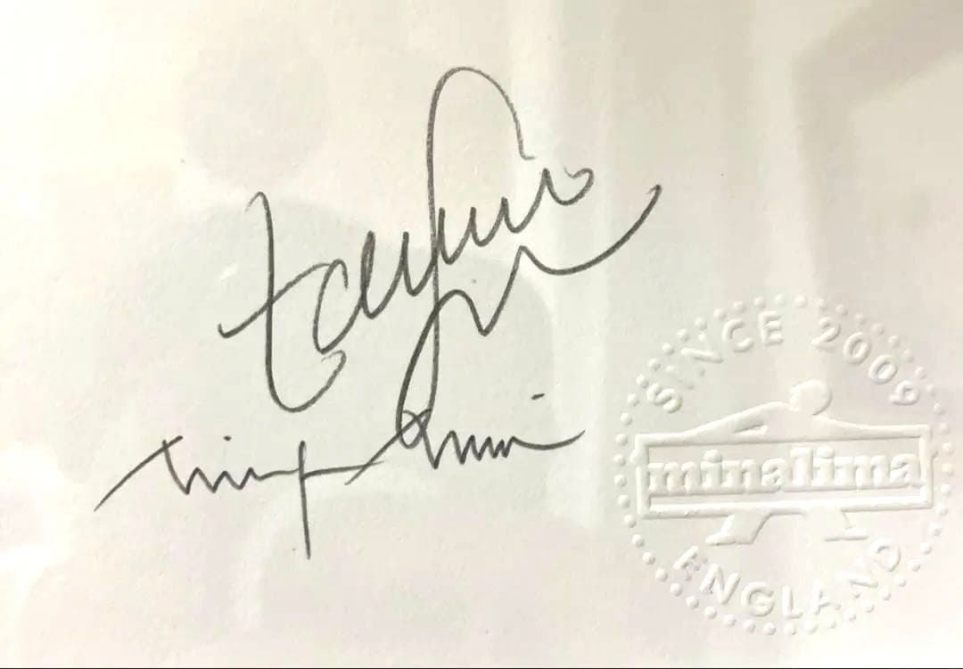 ハリーポッター　ミナリマ アートプリント　蛙チョコパッケージグラフィックアート