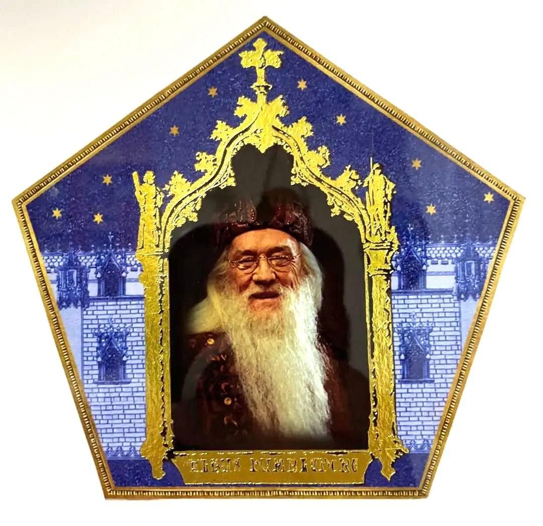 ハリーポッター　ミナリマ アートプリント　蛙チョコパッケージグラフィックアート