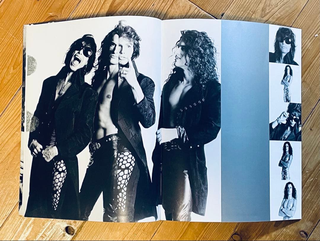 エアロスミスGET A GRIP TOUR 94来日公式ツアーパンフ 美品 希少