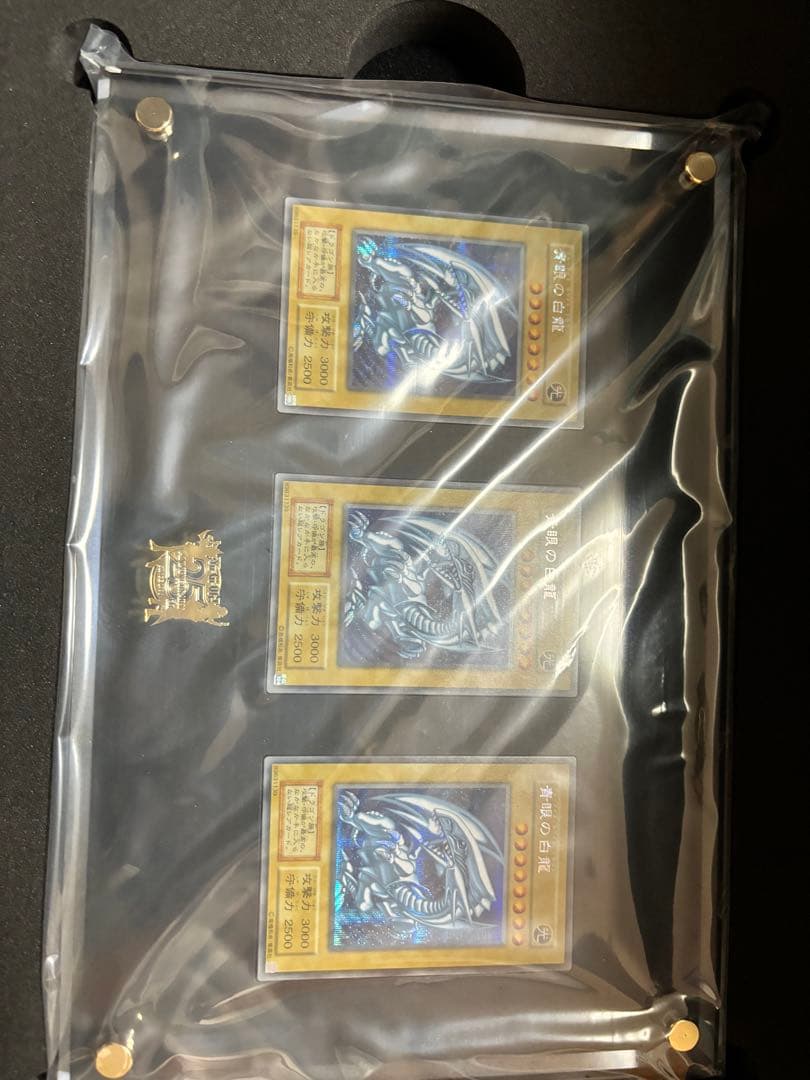 遊戯王OCG 青眼の白龍 アルミケースセット