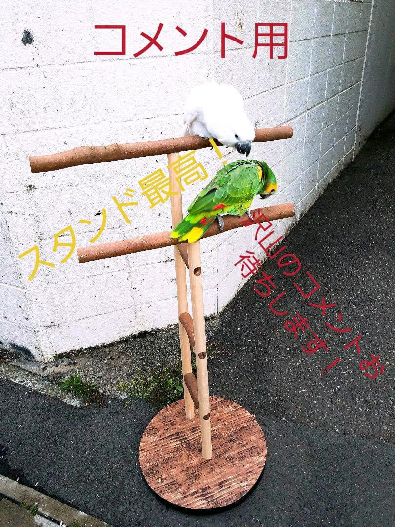 ★オウムスタンド新作‼️見本品‼️{コメント用}❗