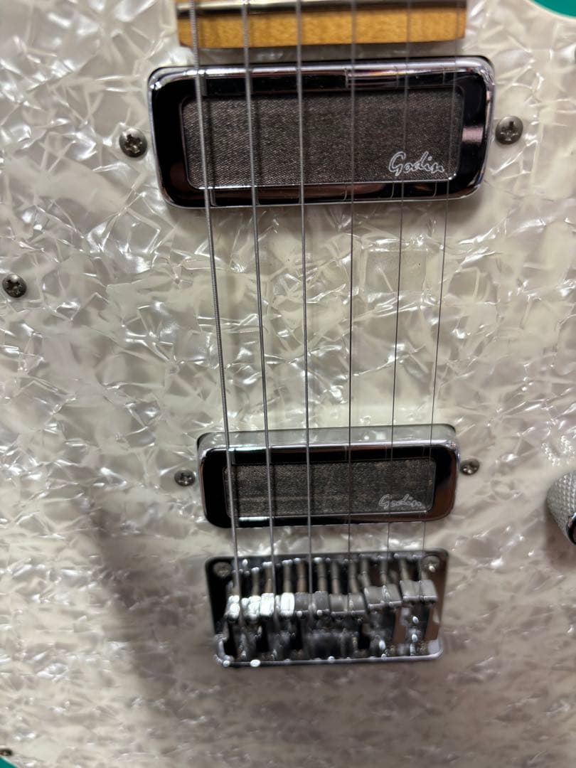 Godin エレキギター
