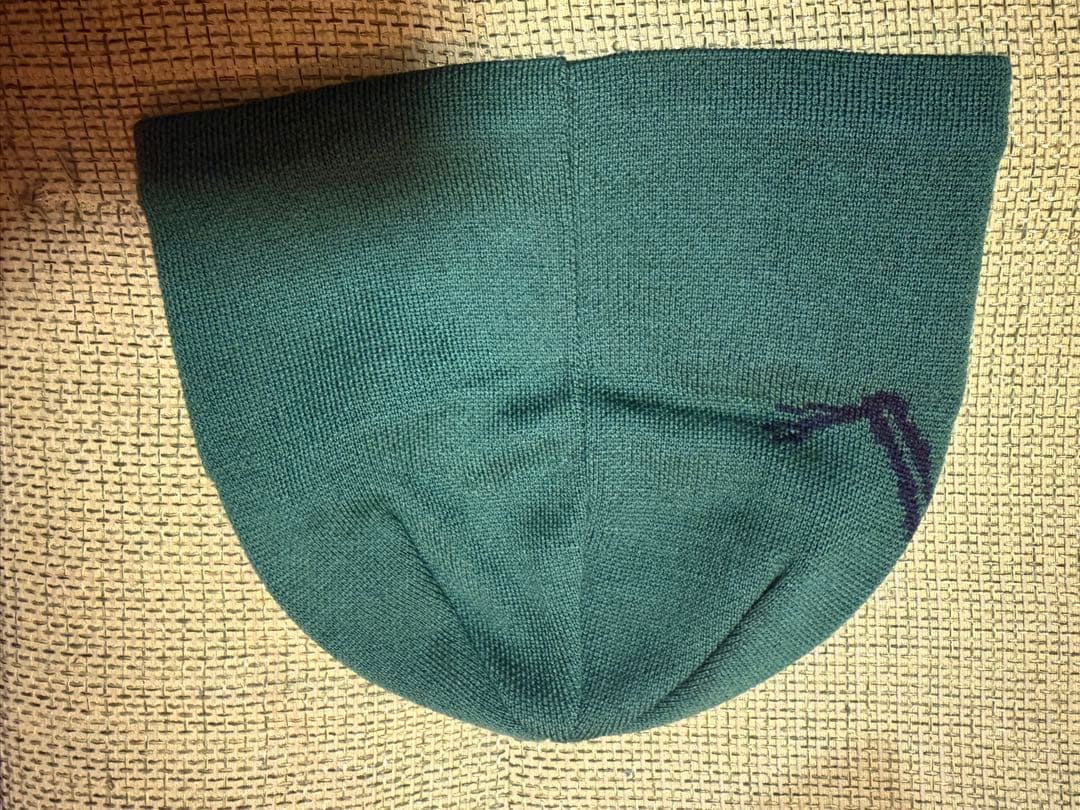 ARC'TERYX Bird Head Toque 緑色