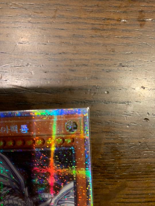 遊戯王 青眼の亜白龍　韓国版　プリシク