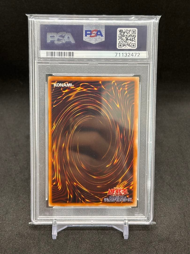 砦を守る翼竜　スタジオダイス　初期　PSA10