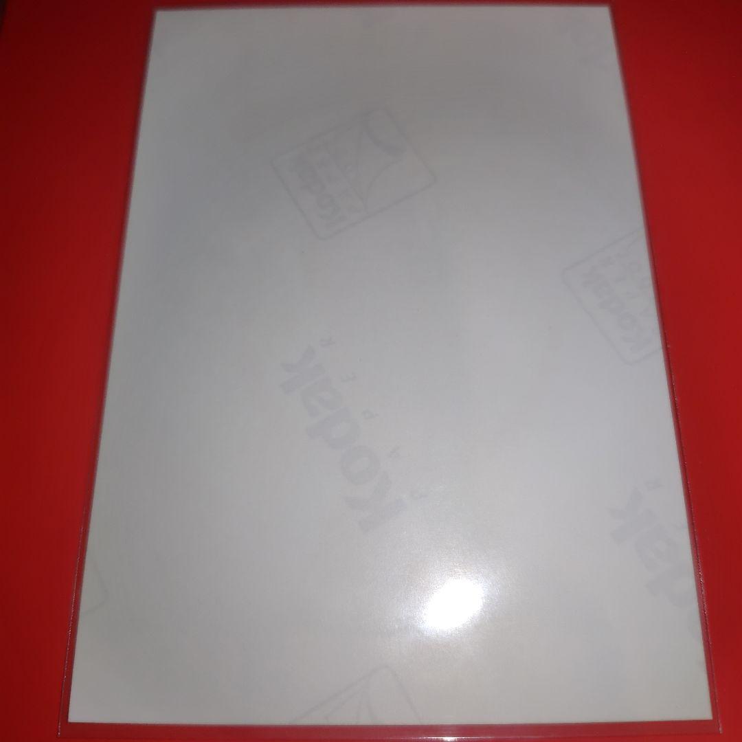 AKB48 高橋みなみ 軽蔑していた愛情 発売記念 生写真 ヒキ