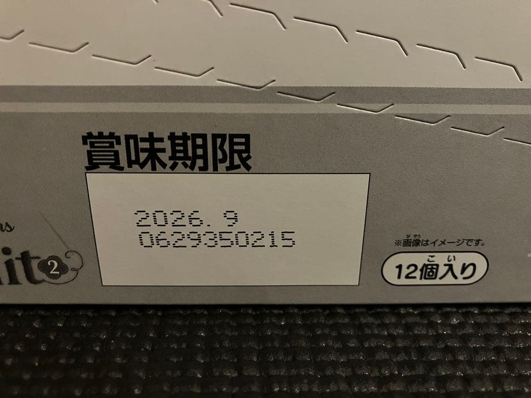 ディズニー刺繍缶バッチ　12個入りBOX ボックス　ズートピア　12個セット