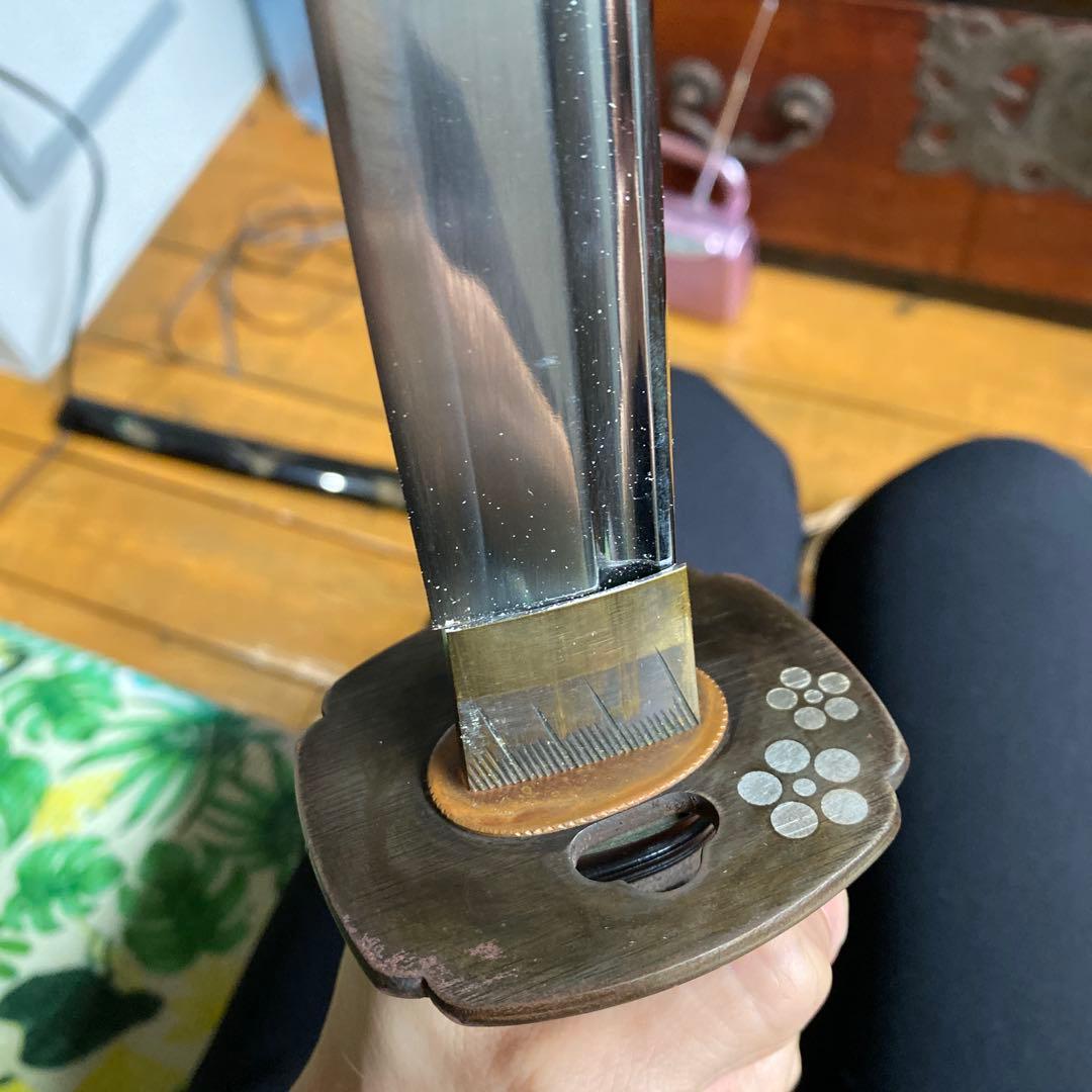 刀剣　模造刀　漆塗り　蝉　蟲　サムライ　SAMURAI 武士