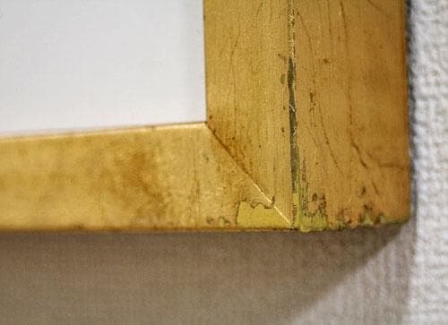 セール！ イタリア 額絵 アート新品 フレーム ピオニー モダン 44772