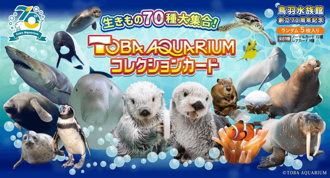 【バラ売り100円】鳥羽水族館 コレクションカード（とレカ）
