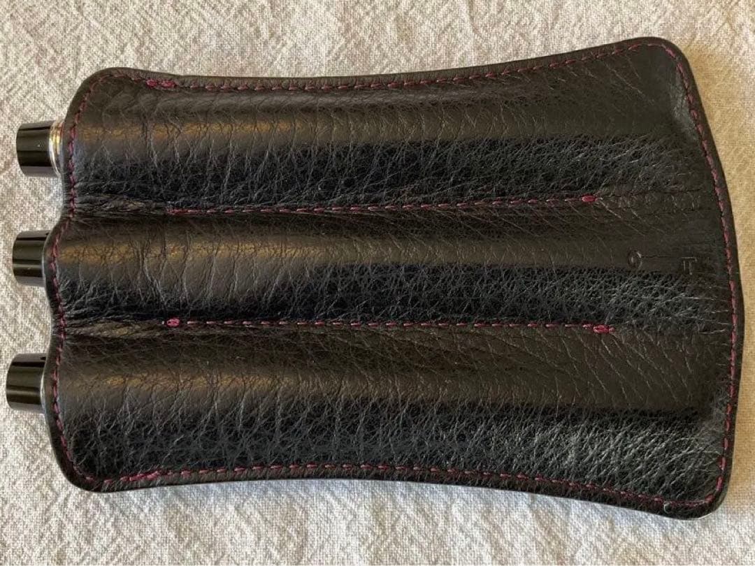 パイロット万年筆 レガンス89s 3本セット 赤 茶 黒　ケース付