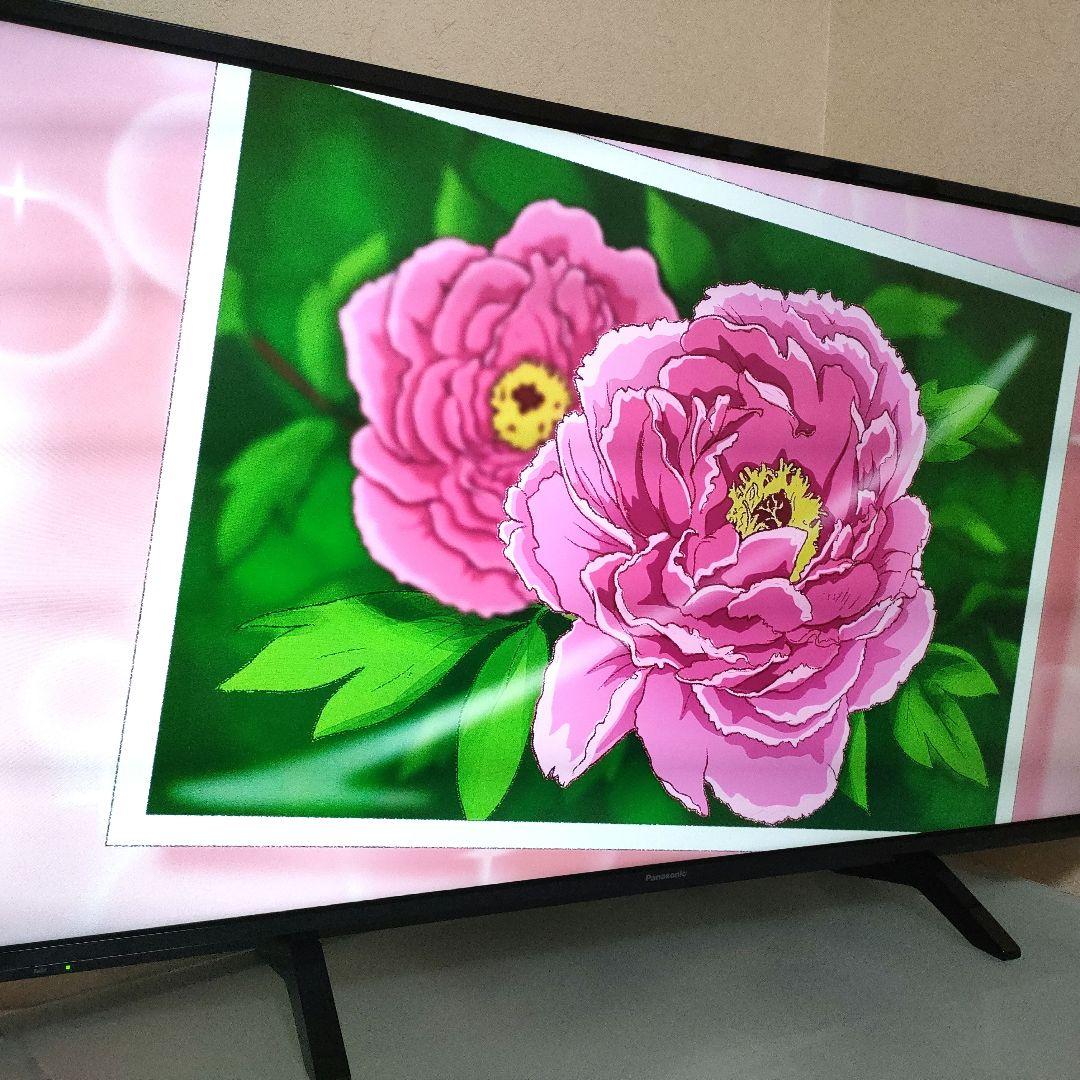 Panasonic[2019年製品]TH-43FX500