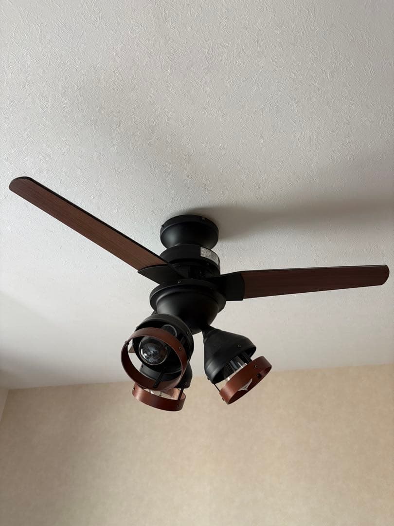 シーリングファンライト