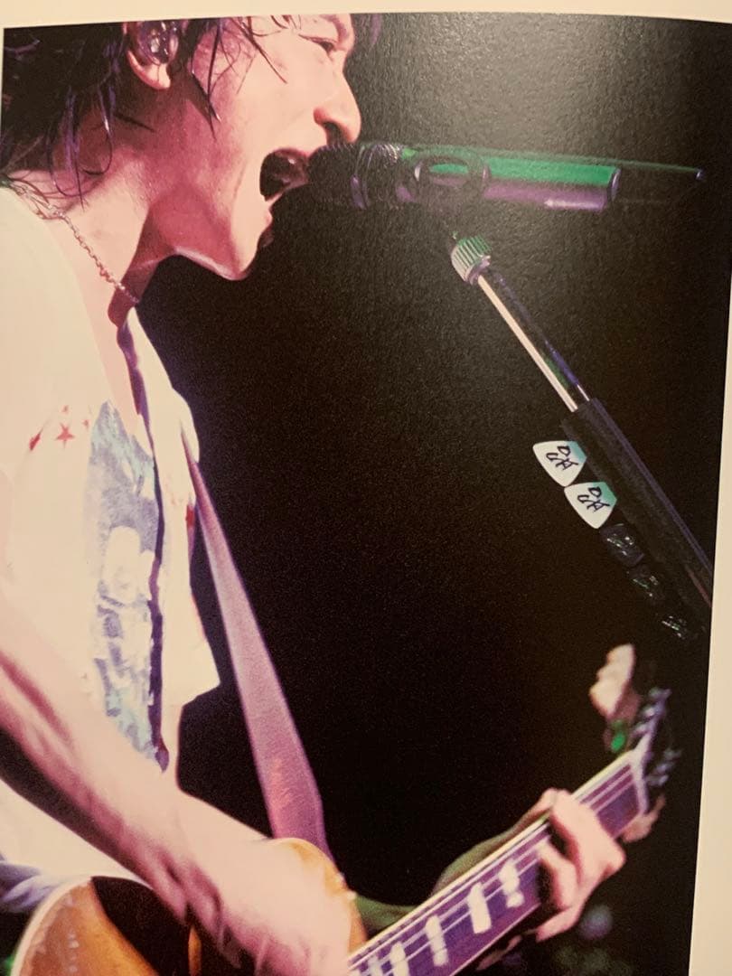 ポルノグラフィティ 岡野昭仁 ピック