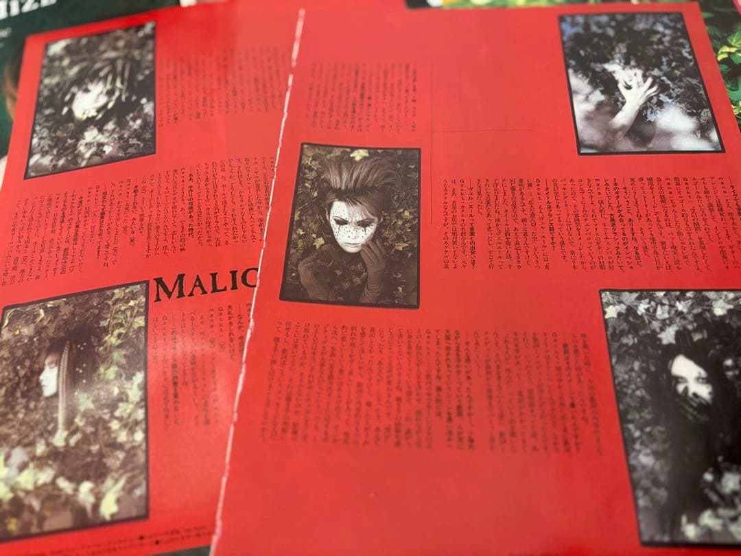 MALICE MIZER 超希少雑誌切り抜きセット　約76ページ