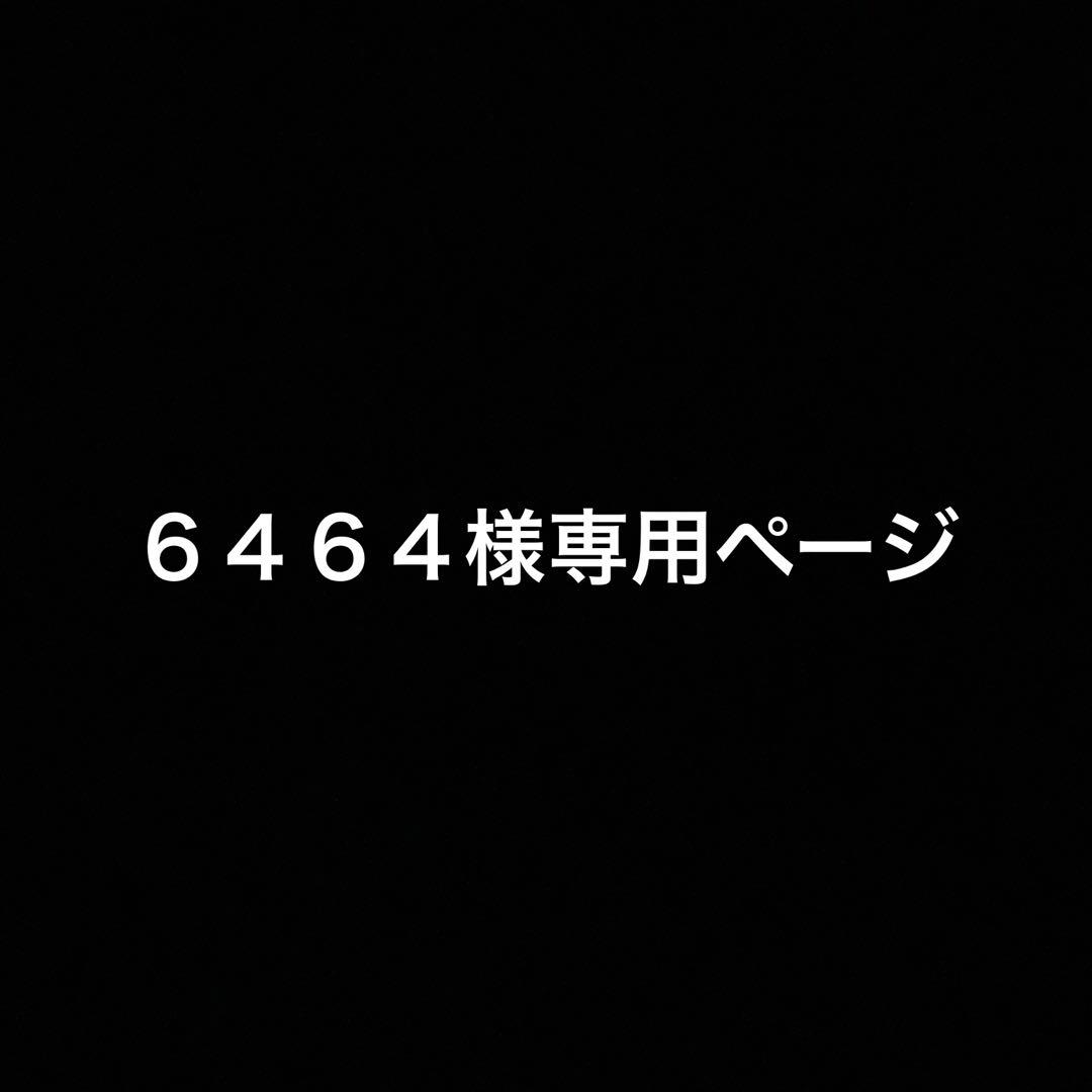 ６４６４ページ