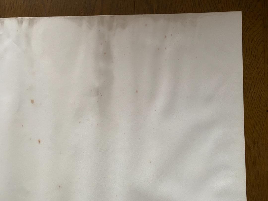 ジャンルー・シーフ　1994年大型ポスター　直筆サイン入り　貴重