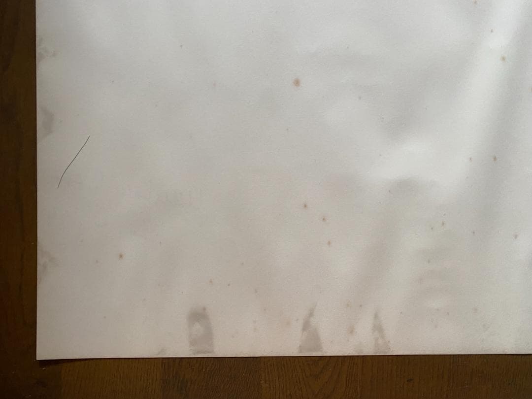 ジャンルー・シーフ　1994年大型ポスター　直筆サイン入り　貴重