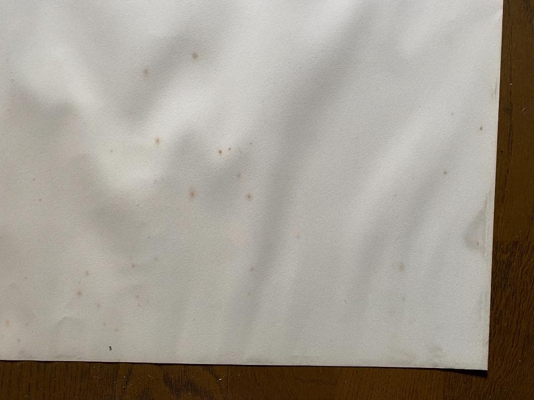 ジャンルー・シーフ　1994年大型ポスター　直筆サイン入り　貴重