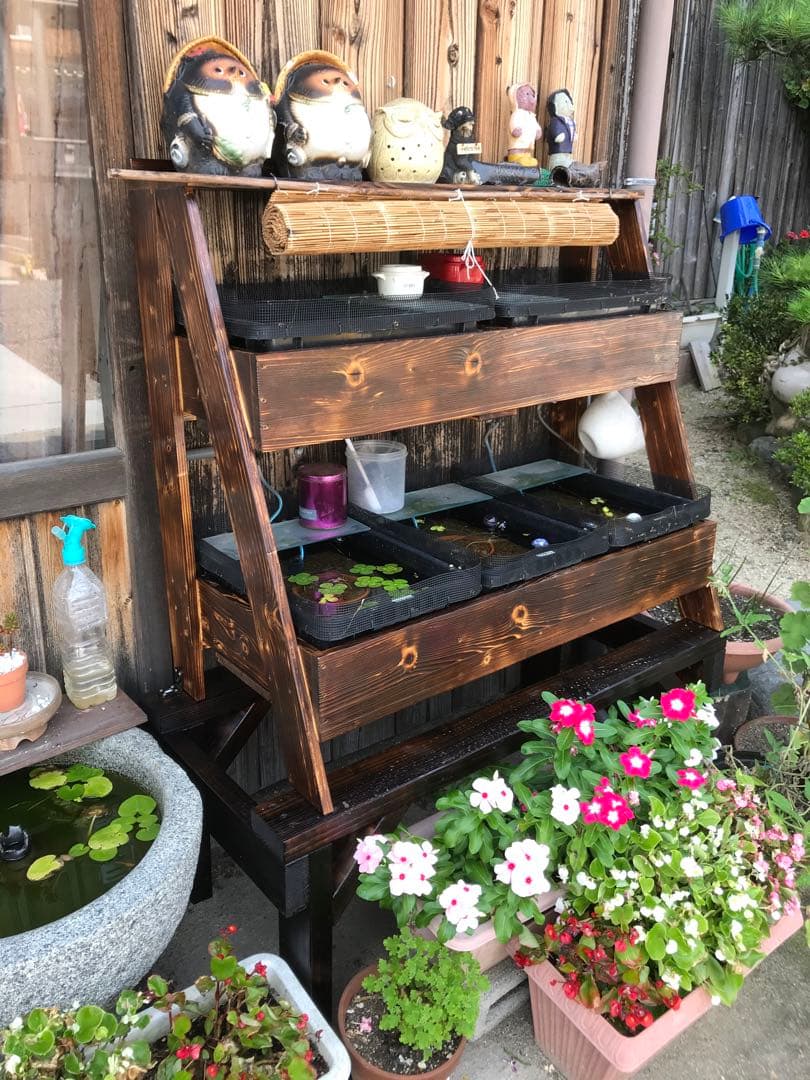 メダカ飼育ラック大　ケース付