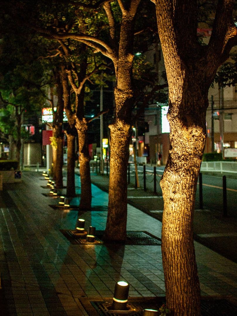 SIGMA シグマ EX 30mm F1.4 DC HSM フォーサーズマウント